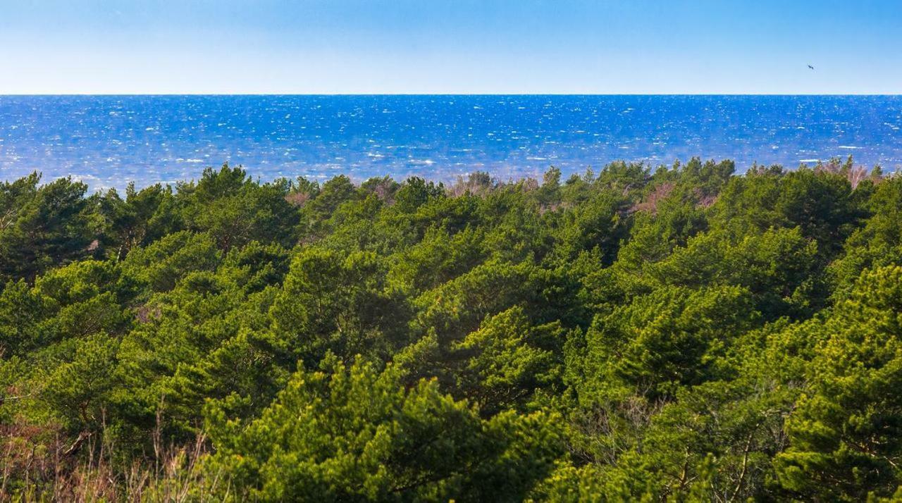 Palanga Sea View Lägenhet Exteriör bild